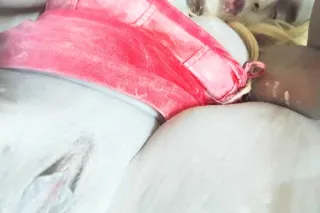 Exotic & Petite - Image 5